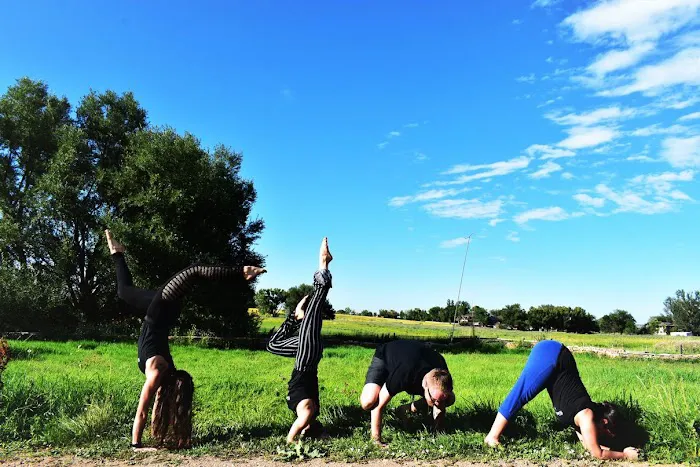 Kinetic Connection - Yoga & Dance Picture 3