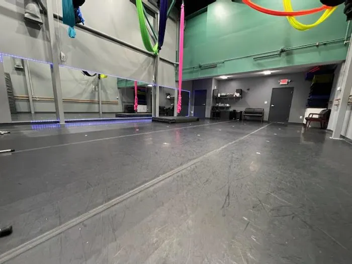 A Dance Vision by Nicole Picture 2