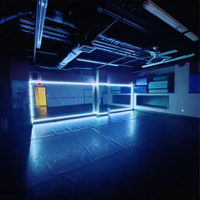 A Dance Vision by Nicole Picture 8