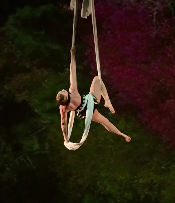 Steppin' Out Dance Academy Picture 1