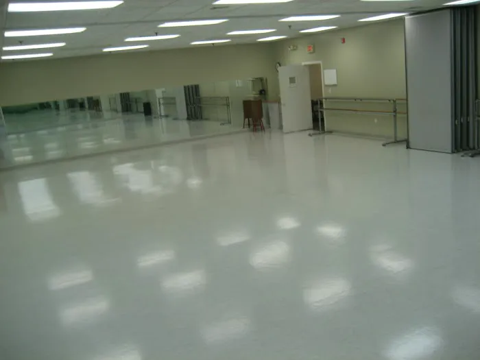 Nancy Chippendale's Dance Studios - North Andover Picture 7
