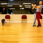 Ignis Arts Ballroom Studio