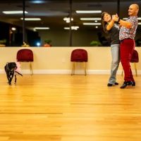 Ignis Arts Ballroom Studio ico