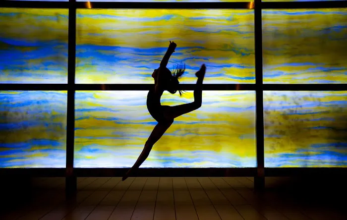 Suzanne's Dance Connection Picture 4