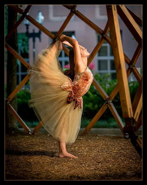 Suzanne's Dance Connection Picture 8