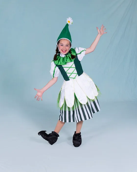 North Reading School of Ballet Picture 9