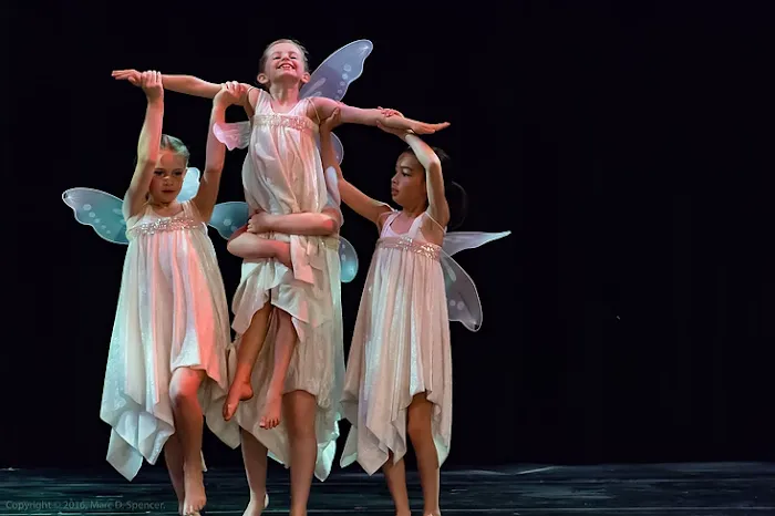 Deborah Abel School of Modern Dance Picture 6
