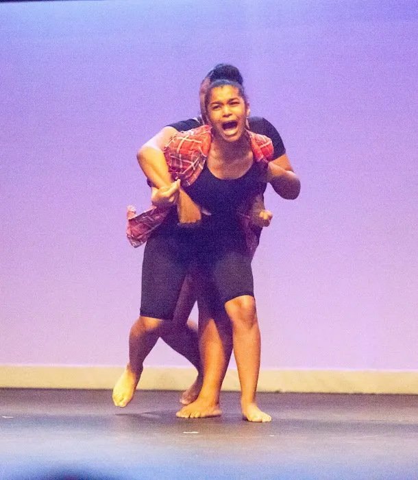 Stajez Cultural Arts Center Picture 9