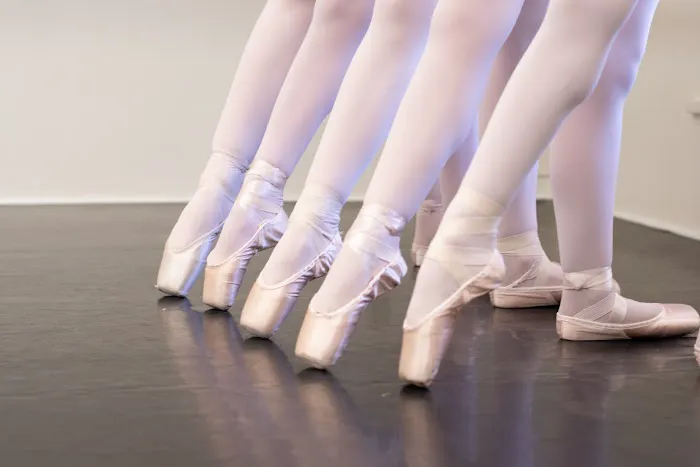 South Shore Ballet Theatre Picture 5