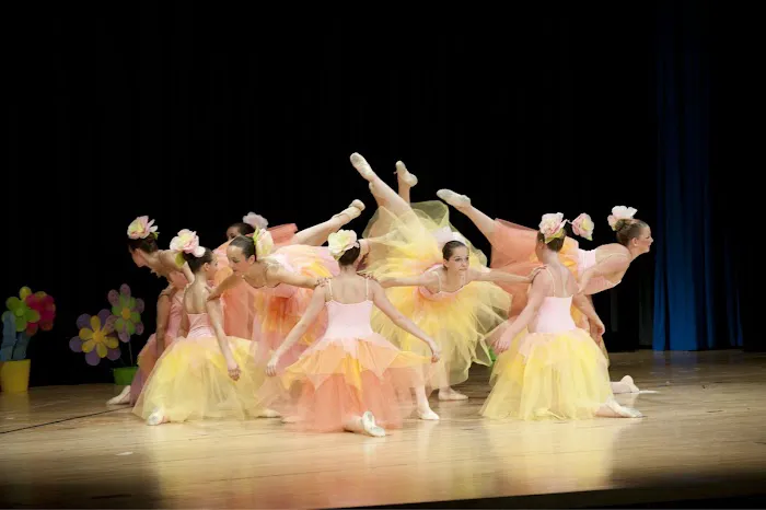 New England Ballet Theatre Picture 3