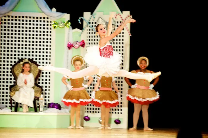 New England Ballet Theatre Picture 2