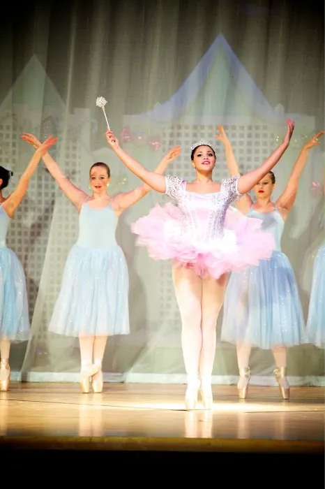 New England Ballet Theatre Picture 5