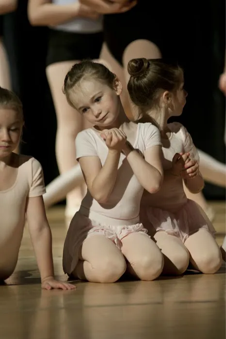 New England Ballet Theatre Picture 4