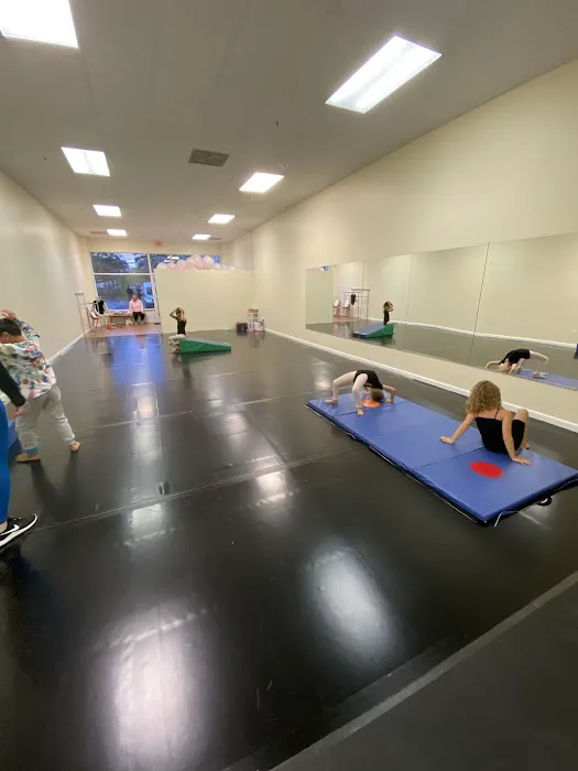 Align Dance Training Picture 2