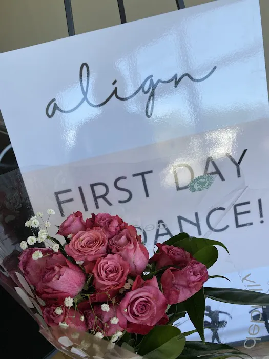Align Dance Training Picture 10