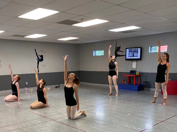 Virginia Dance Center Picture 3
