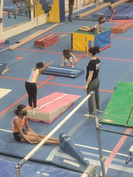 Novaks Gymnastics Center Picture 4