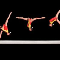 Novaks Gymnastics Center ico