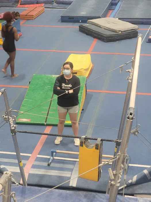 Novaks Gymnastics Center Picture 6