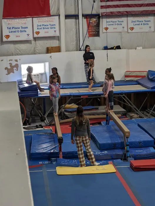 Novaks Gymnastics Center Picture 10