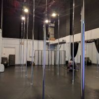 DivaFit Pole and Aerial Fitness ico