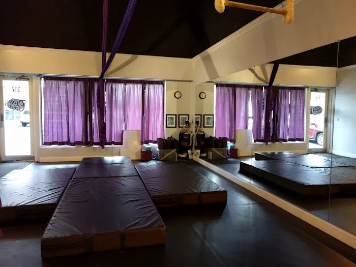 DivaFit Pole and Aerial Fitness Picture 4