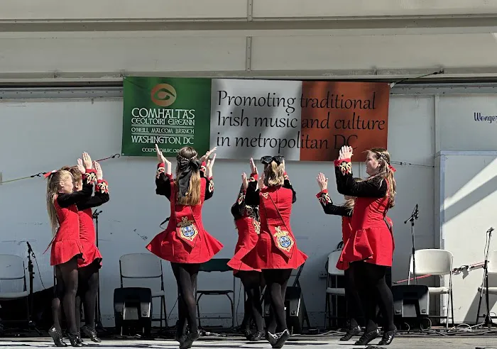 Foley Academy of Irish Dance Picture 3