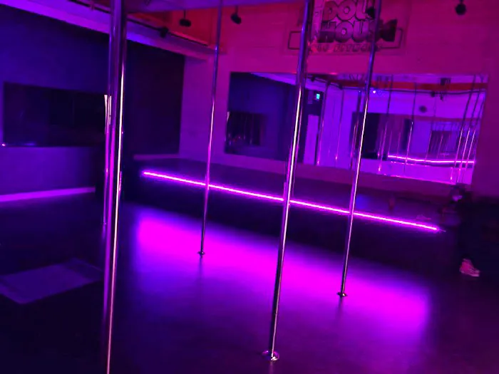 Doll House Pole Fitness Picture 2