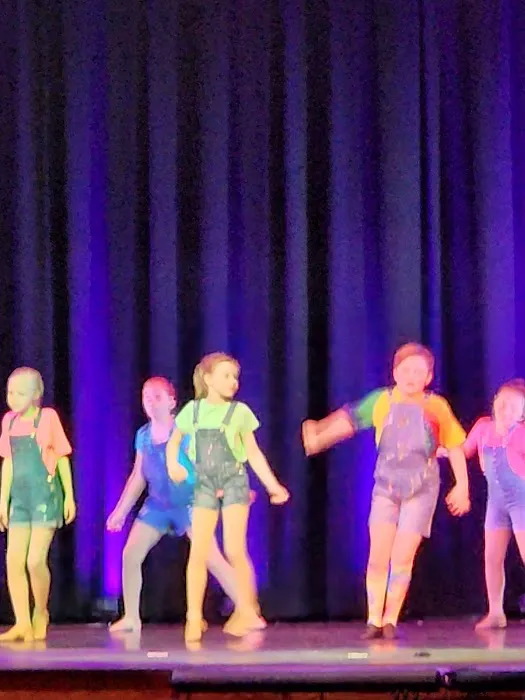 The Academy of Dance Anatomy Picture 4