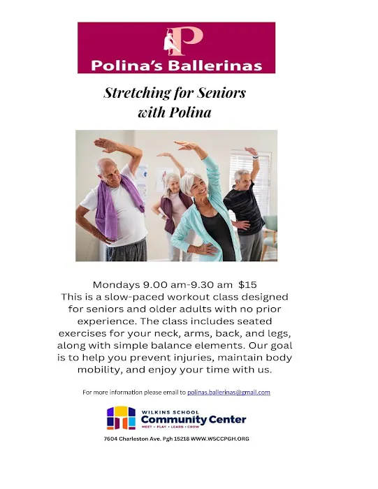 Polina`s Ballerinas Picture 4