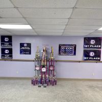 Lisa DiGorio School of Dance ico