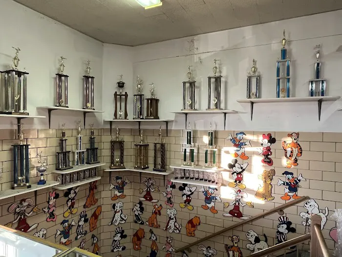 Gemini Gymnastics and Dance of Pittsburgh Picture 3