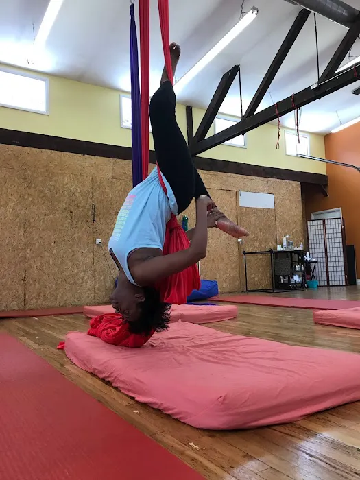 Pittsburgh Circus School Picture 6