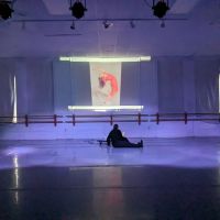 Dafmark Dance Theatre & Academy ico