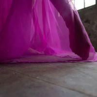 Seiche Dance Collective ico