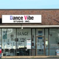 Dance Vibe Studio Inc. ico