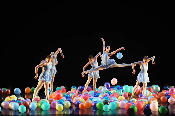 Erie Dance Conservatory Picture 10