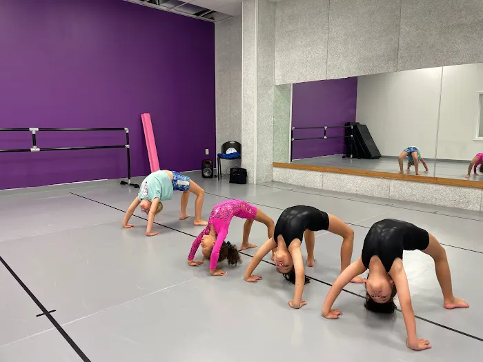 The Dance Collective Picture 6