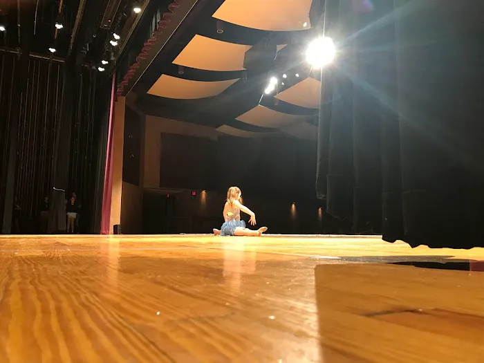 Dreams of Dance Picture 2
