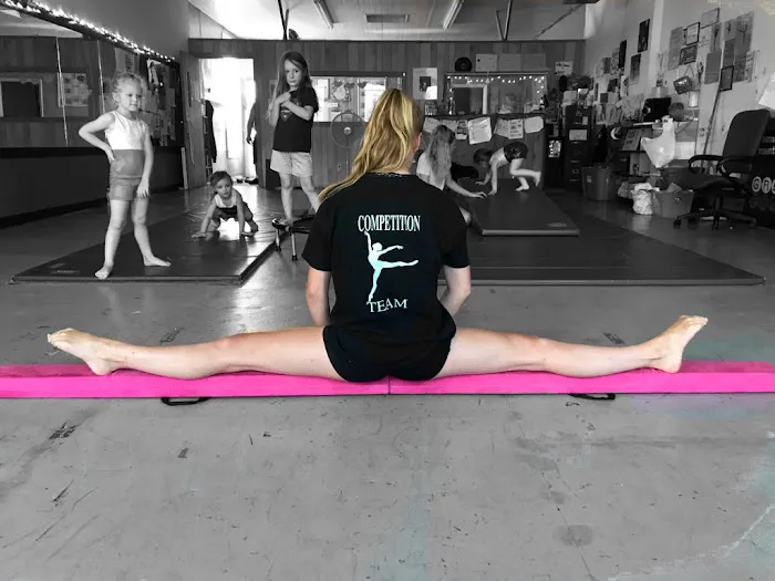 Dreams of Dance Picture 8