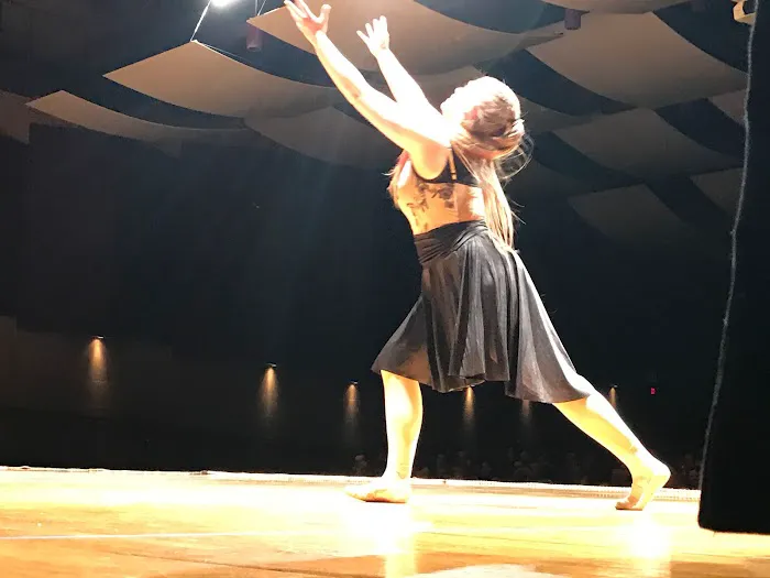 Dreams of Dance Picture 4