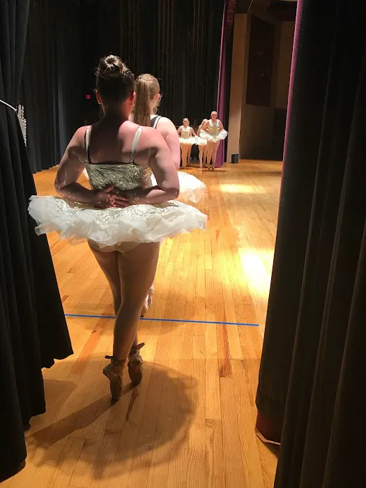 Dreams of Dance Picture 5