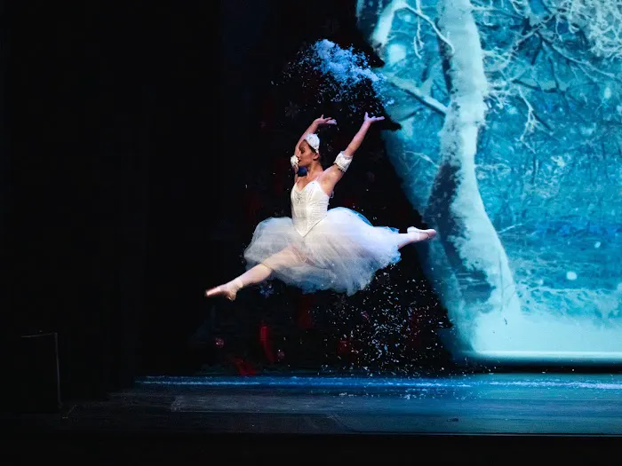 Northeastern Ballet Theatre Picture 2