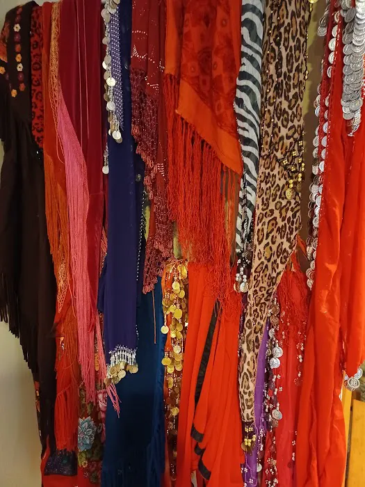 Bashirah Belly Dance Picture 7