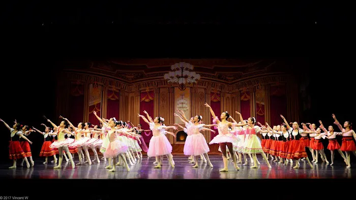 N&D BALLET Picture 1