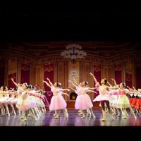 N&D BALLET ico