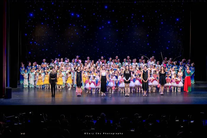 Artisan Dance Academy LLC Picture 2