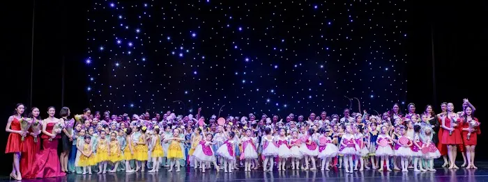 Artisan Dance Academy LLC Picture 1