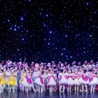Artisan Dance Academy LLC ico