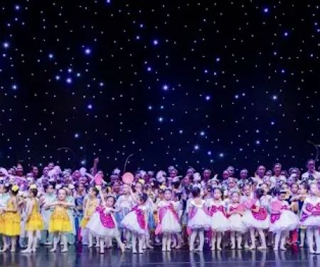 Artisan Dance Academy LLC
